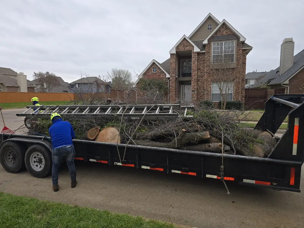 Expert Crown Reduction with proper safety equipment in Silver Grove